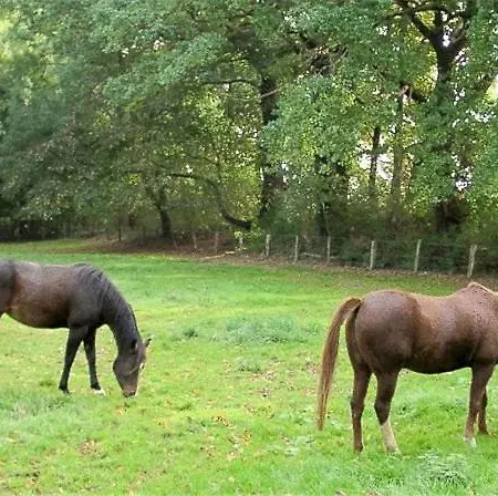 Zur Wasserburg Hotel
