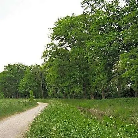 Zur Wasserburg Hotel Kerpen (North Rhine-Westphalia)